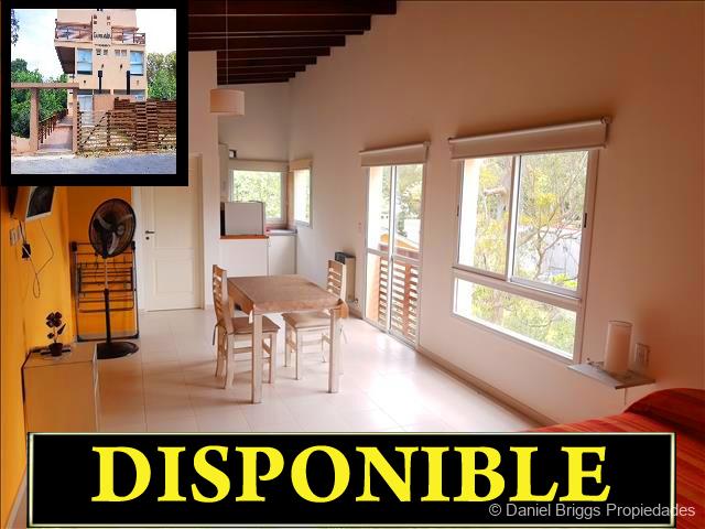Disp.jpg
